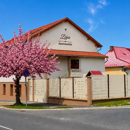 Zoja Apartmanhaz Апартаменты *