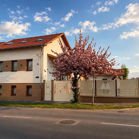 Zoja Apartmanhaz Надьканижа